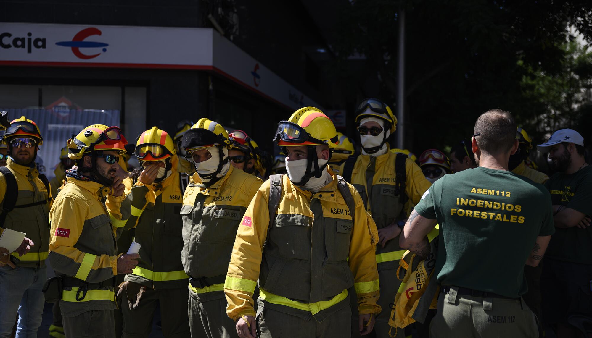 Forestales Tragsa - 1